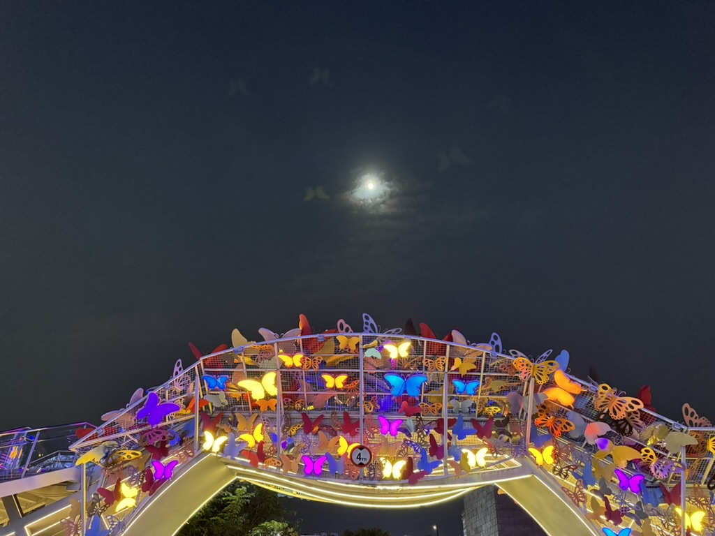 夜骑
