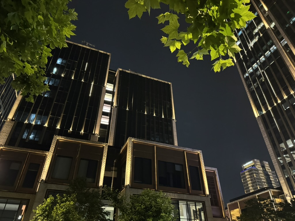 夜骑