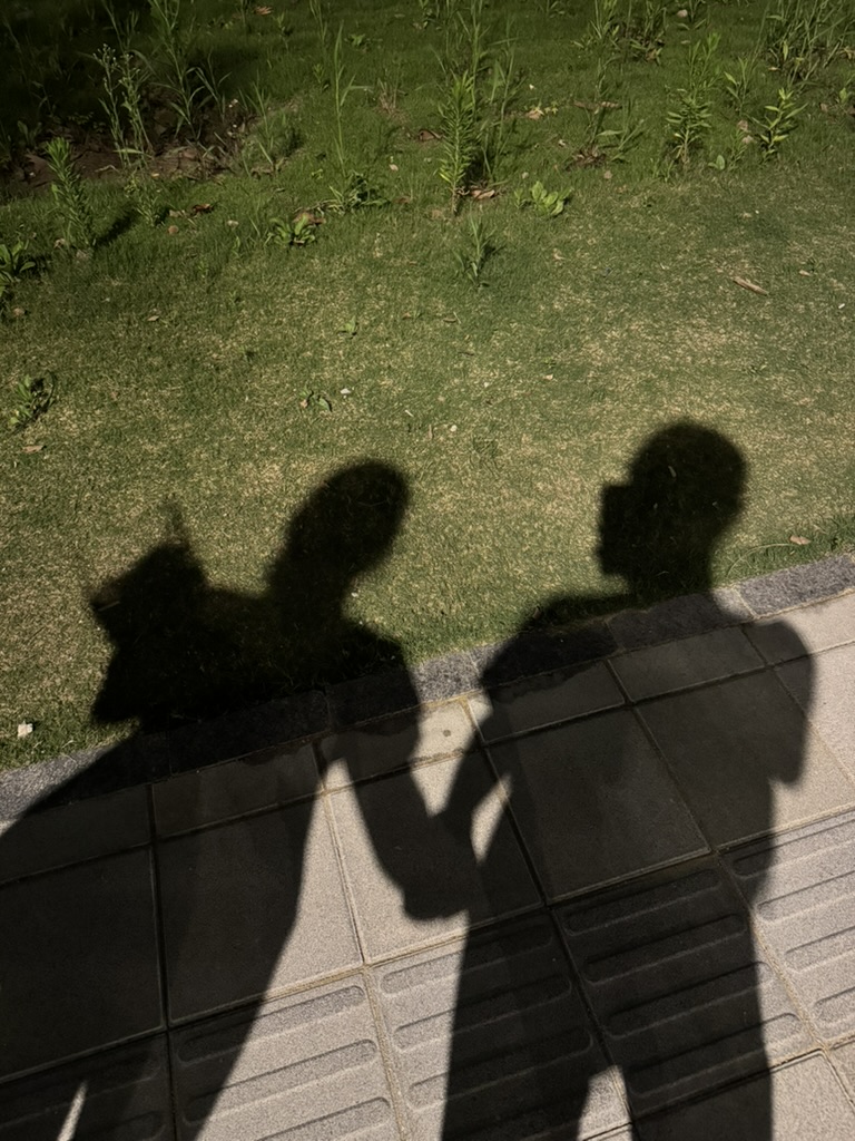 董小姐