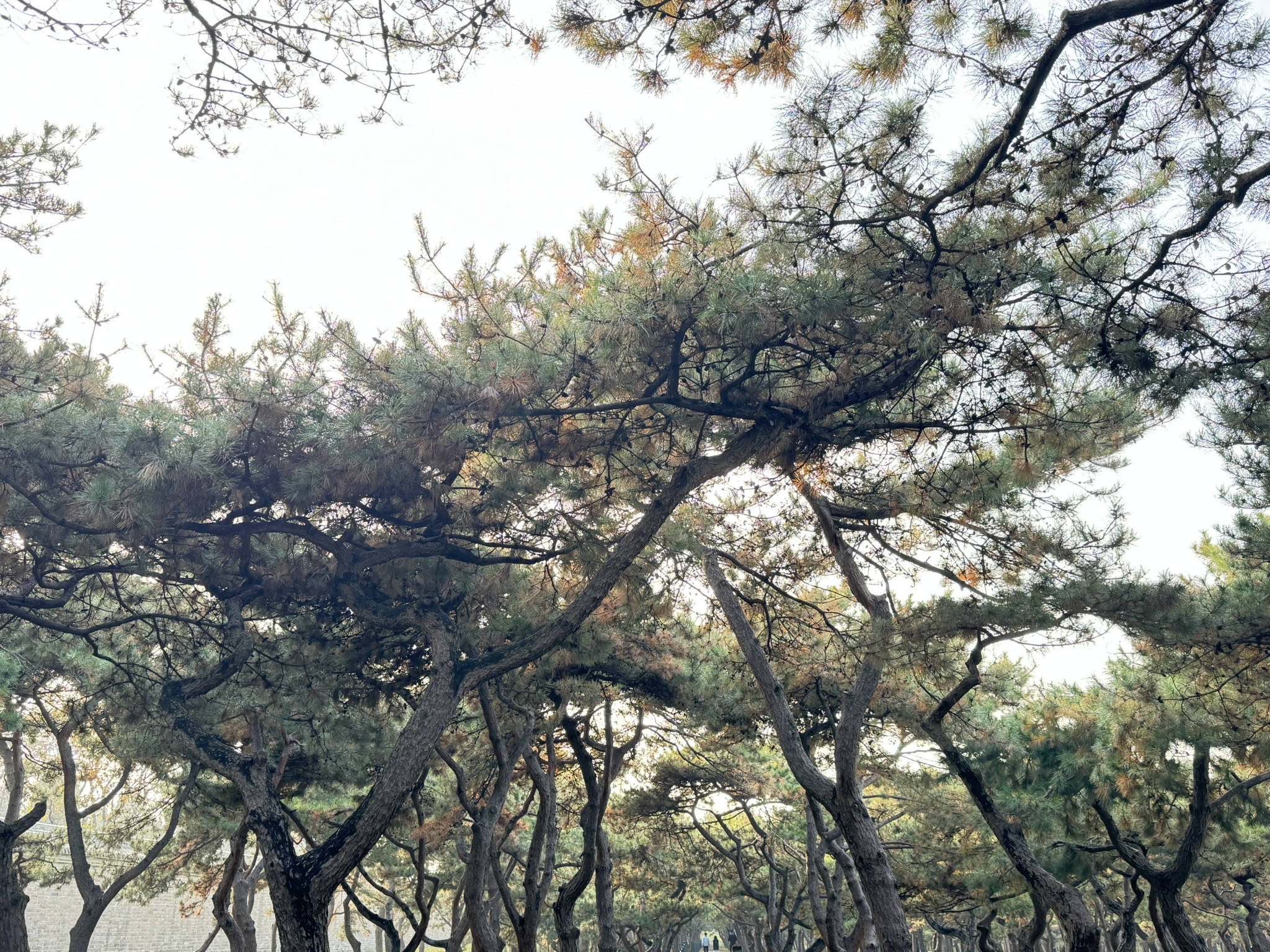出行游玩